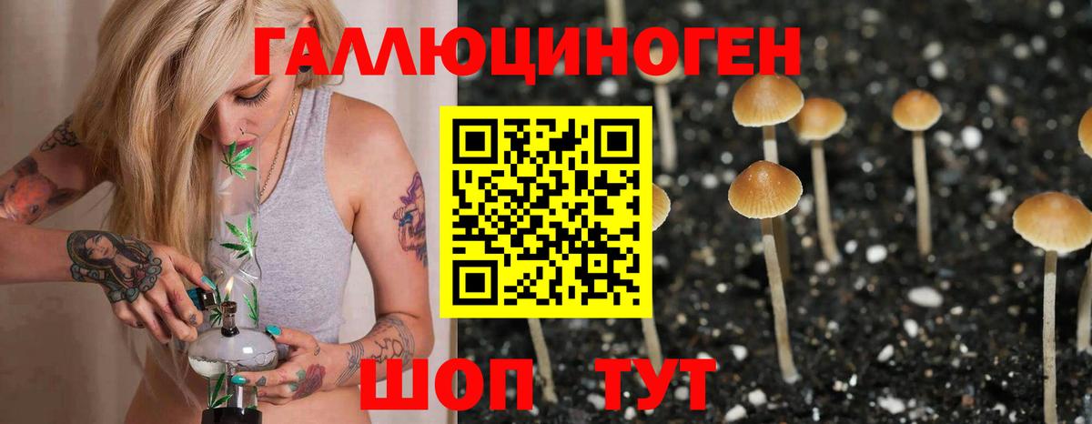 Галлюциногенные грибы MAGIC MUSHROOMS Осинники