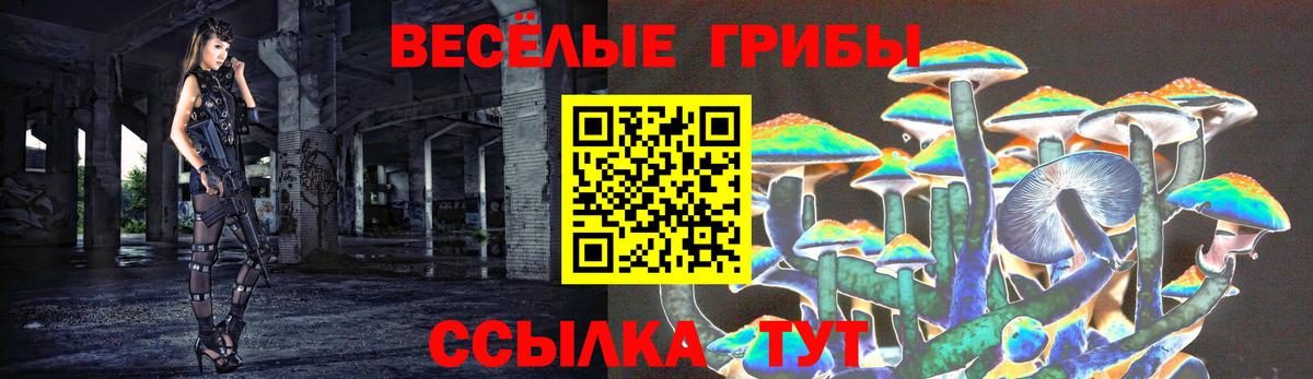 Осинники  Галлюциногенные грибы Magic Shrooms  Вход с VPN 